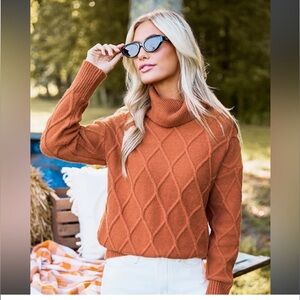 Burnt Orange Turtleneck Long Sleeve Sweater